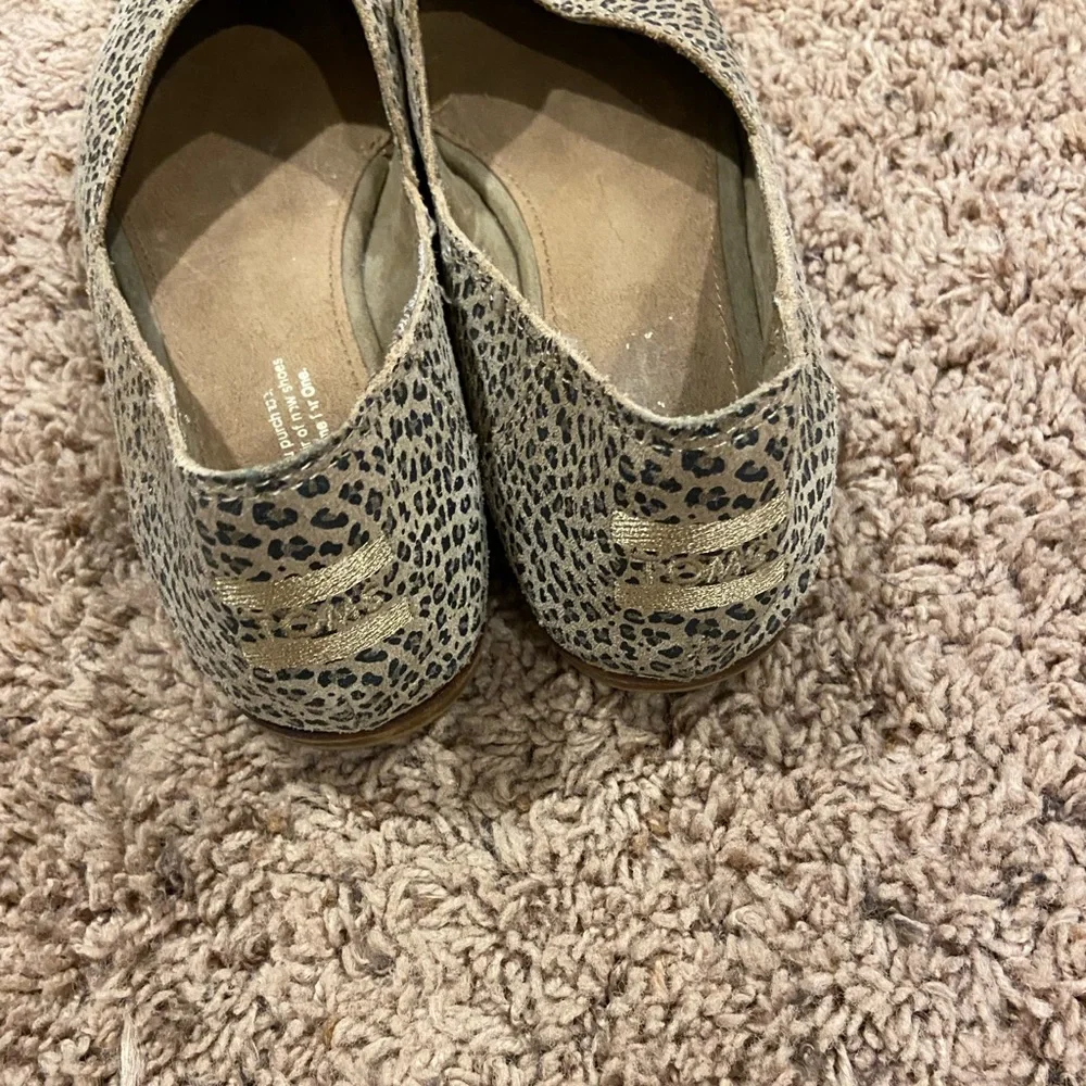Tom Flats - Picture 2 of 5